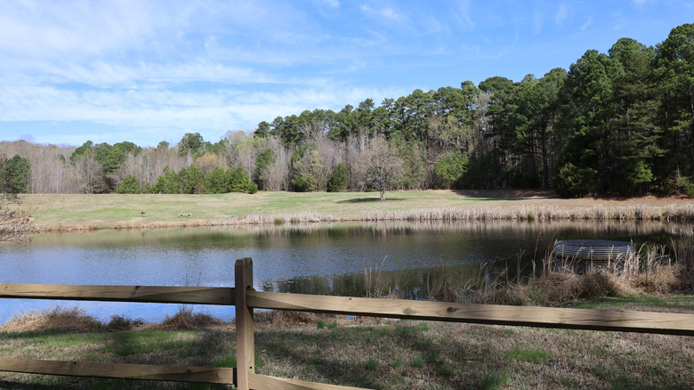 Lake view with trees at Occoneechee State Park, Virginia