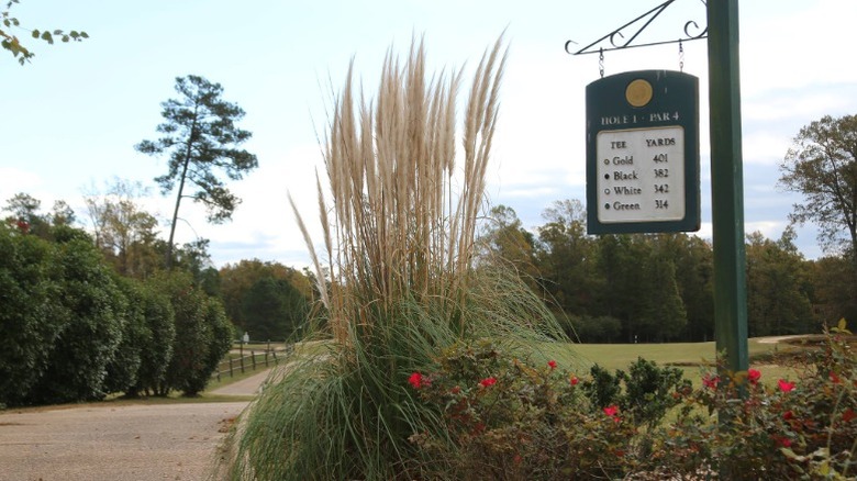 Image looking onto Stonehouse Golf Club, with par sign in the background.