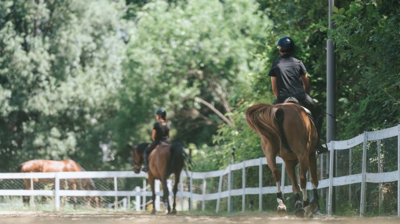 Two people horseback riding in fenced-in field