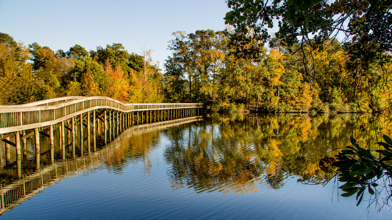 fall foliage along the Noland Trail in Newport News