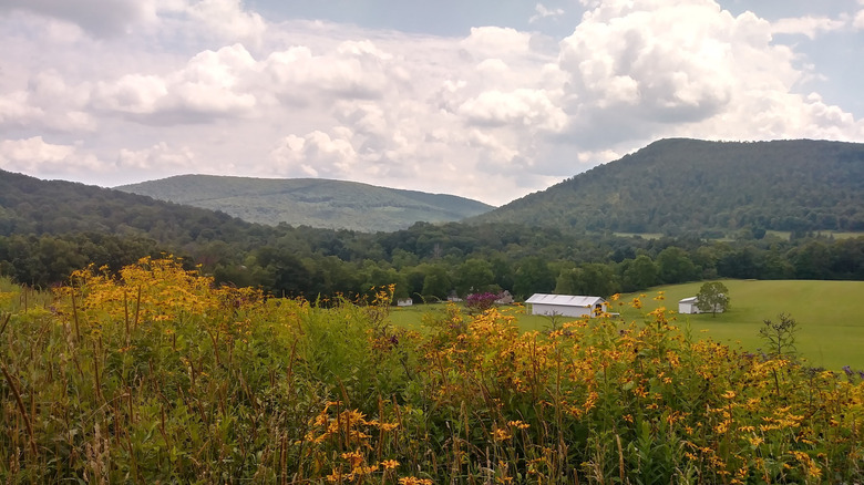 A golden field of grass overlooking a valley with hills in the distance and a farm in the center.