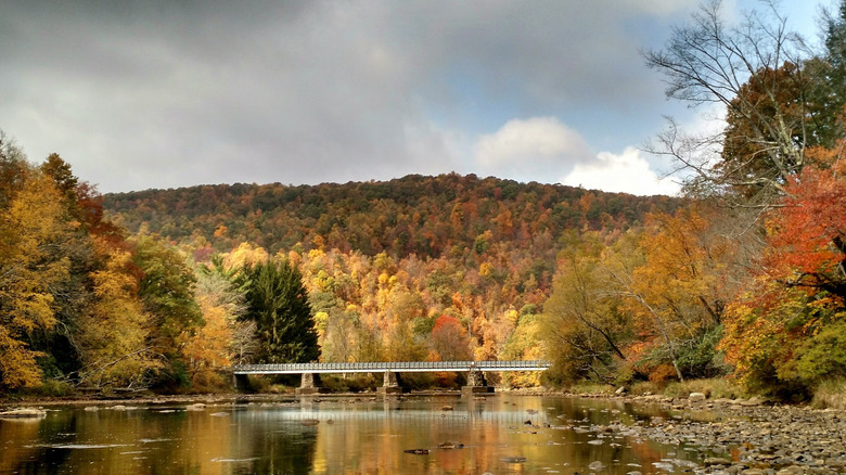 A river passes beneath a bridge with a orange forest beneath a hill in the background.