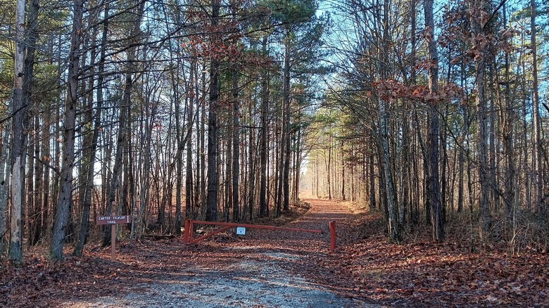 The entrance of a foliage-covered trail in Virginia's Appomattox-Buckingham State Forest