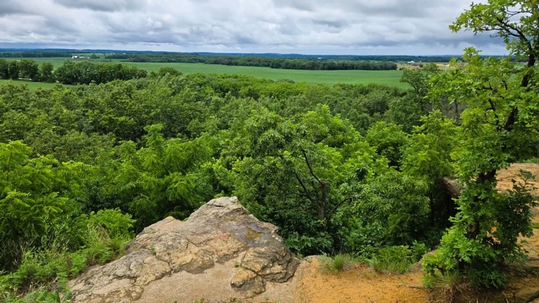 Views from an overlook at Magnolia Bluff in Wisconsin, featuring a lush valley with rolling hills in the distance.