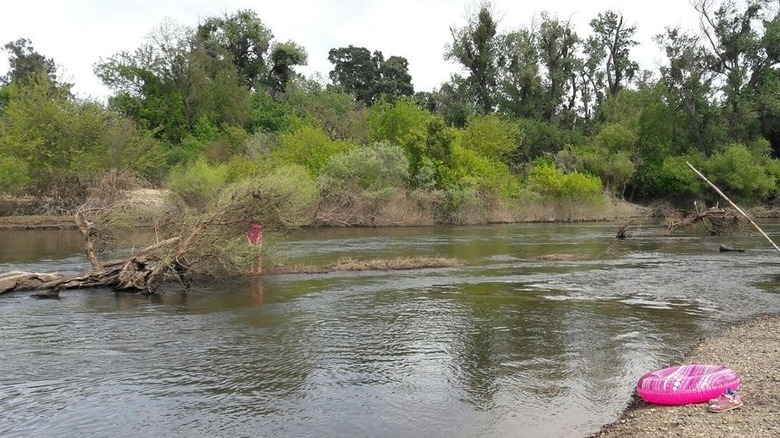 Pink inner tube on banks of Merced River at McConnell State Recreation Area.