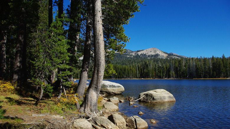 Ice House Reservoir in Northern California
