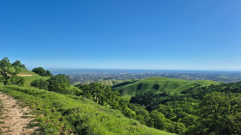 View of grassy hills and a city in the background in Black Diamond Mines Regional Preserve, California
