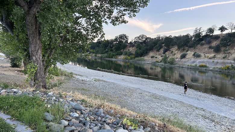 Trail along Feather River in Riverbend Park
