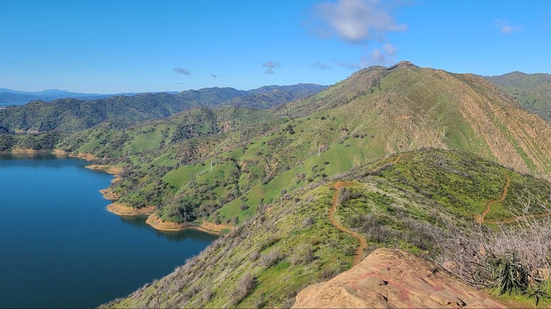 View of Stebbins Cold Canyon Reserve in California