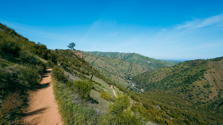 Dirt hiking trail in the Stebbins Cold Canyon Reserve, California