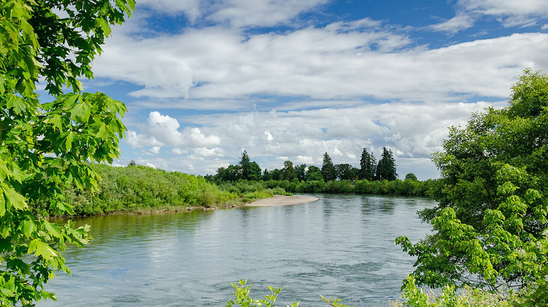 This is a picture of the Willamette River and Park in Corvallis, Oregon