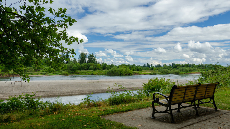 This is a picture of Willamette Park in Corvallis with a blue sky in front of it.