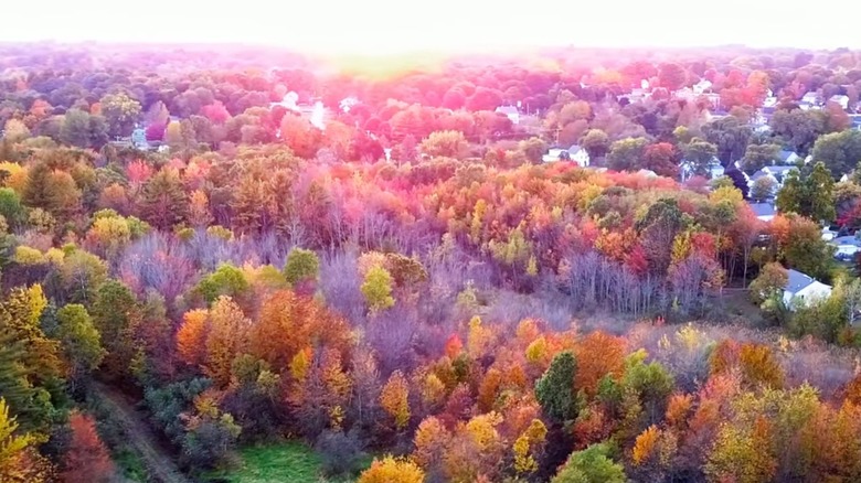 Aerial view of Somersworth and its fall foliage and abundant trees turning red, gold, and rust