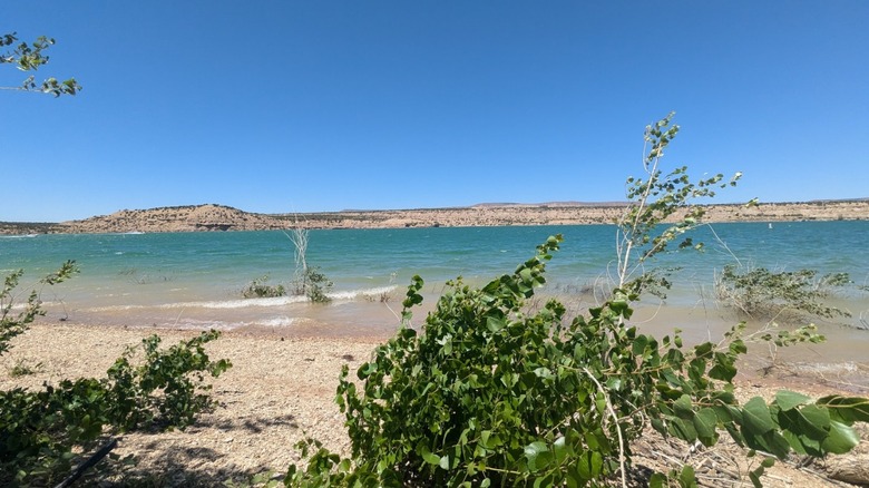 Blue-green water laps at a sandy beach with green shrubs at Fred Hayes State Park at Salvation in Utah.