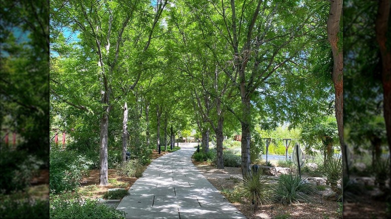 Path through Conservation Garden Park in West Jordan, Utah