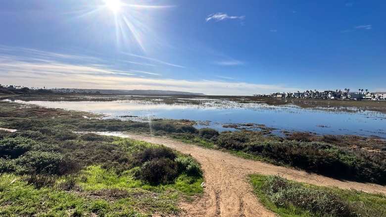 Trail at Tijuana Slough National Wildlife Refuge