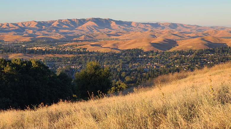 A picture of the Bishop Ranch Open Space Preserve in San Ramon