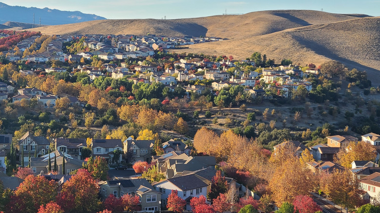 This is the fall season and colors overlooking San Ramon, CA