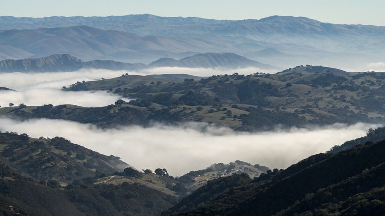 A view of above the cloud line at Fremont Peak State Park