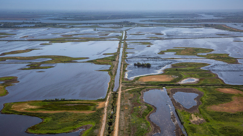 Wetlands and mashes in San Joaquin river delta