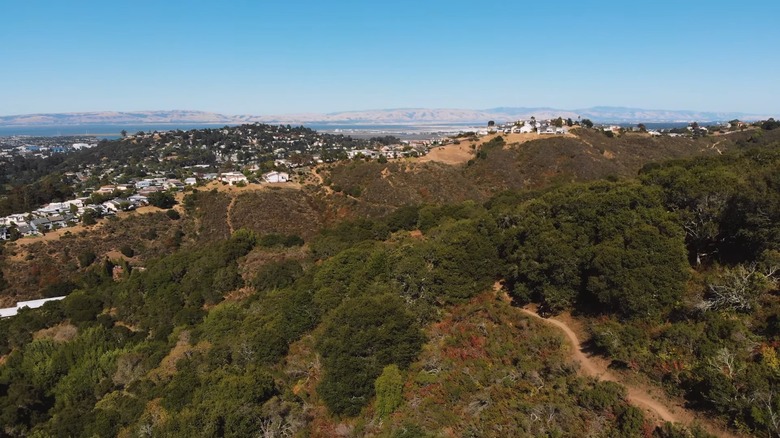 Aerial view of winding lanes and distant mountains in Belmont