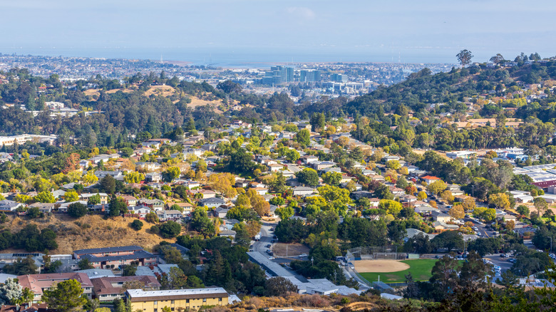 Trees, hills, and homes in Belmont, California