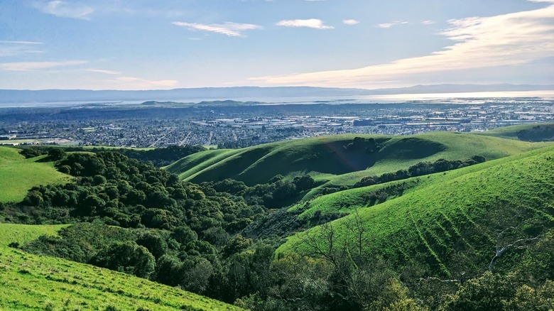 Panoramic view of lush green rolling hills overlooking Union City and San Francisco Bay at Dry Creek Pioneer Regional Park in Union City, California