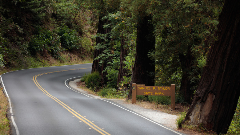 Samuel P Taylor State Park Sign visible next to the highway, Northern California