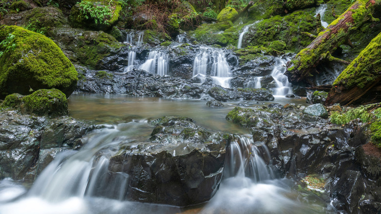 Cascading waterfalls among mossy boulders in Mount Tamalpais Watershed