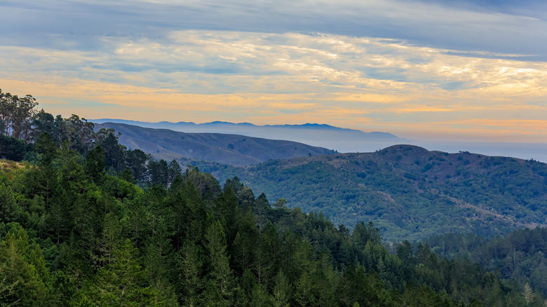 Mount Tamalpais north of San Francisco, CA