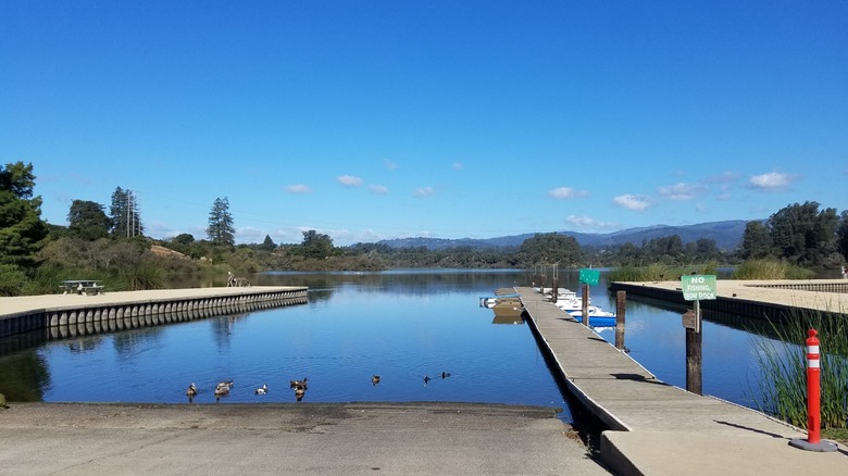 Two earthen piers, a dock, and a boat launch at Pinto Lake City Park, in California.