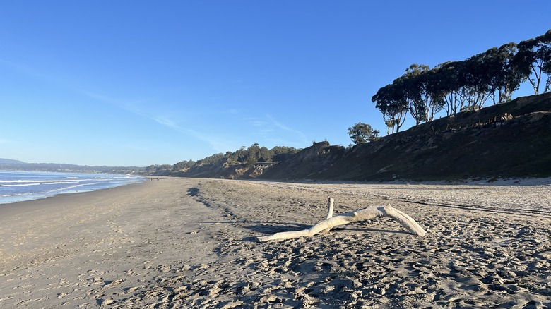 Manresa Beach looking towards Santa Cruz