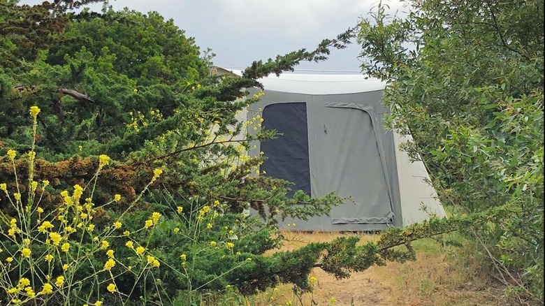 Tent at Manresa Uplands Beach in Santa Cruz County, California