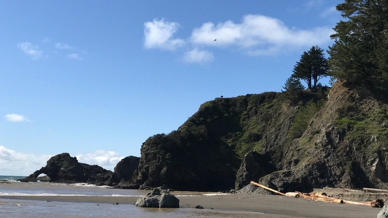 Navarro Beach, an estuary at Navarro River Redwoods State Park, surrounded by cliffs, Northern California