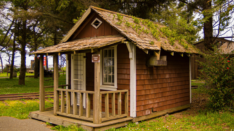 A reconstructed cabin with a porch beneath redwoods at Fort Humboldt State Historic Park.