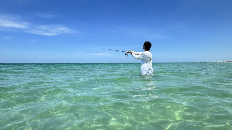 Someone fishing in the water at Don Pedro Island