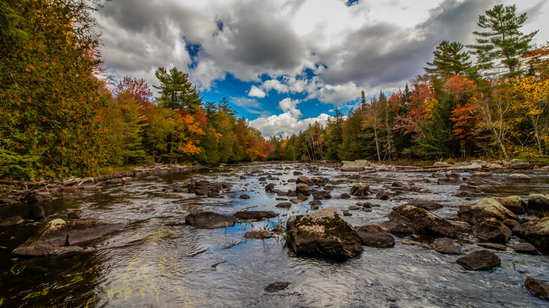 A creek with fall foliage in New York
