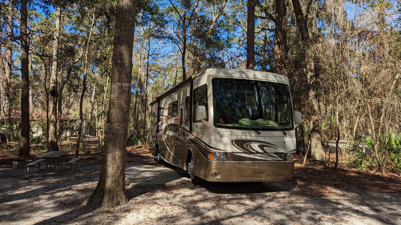An RV parked at a campsite at Blythe Island Regional Park.