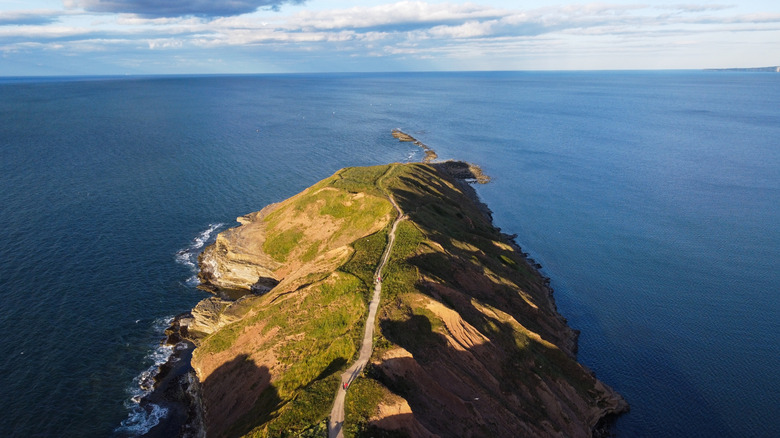 An aerial view of a long, narrow path resembling an iguana's spine on Filey Brigg peninsula