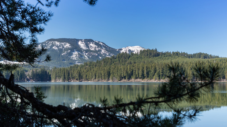 Lake, greenery, and mountains in the distance around Lake Easton State Park, Washington