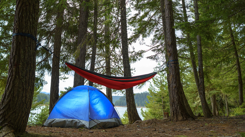 tent and hammock backcountry camping setup