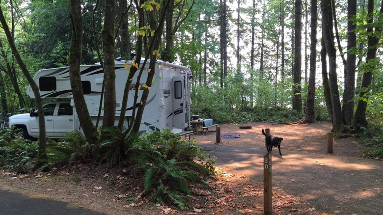 Campsite with RV at Ike Kinswa State Park