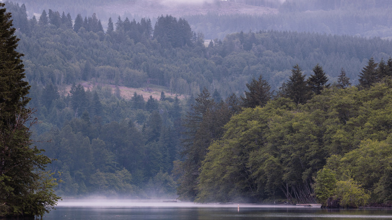Early morning fog on Mayfield Lake at Ike Kinswa State Park