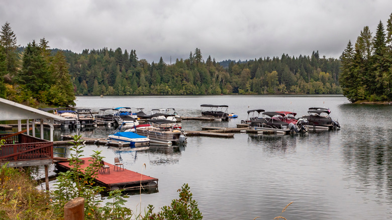 Dock lined with boats off shore of Mayfield Lake