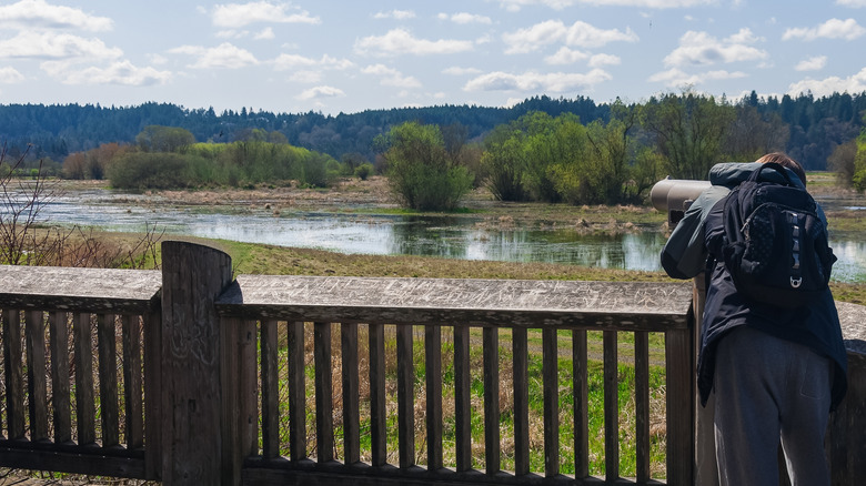 A photographer lining up a shot over the estuary at Billy Frank Jr. Nisqually National Wildlife Refuge.