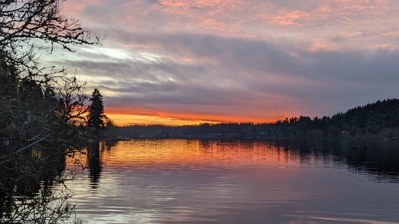 Black Lake at sunset, with trees surrounding the water's edge