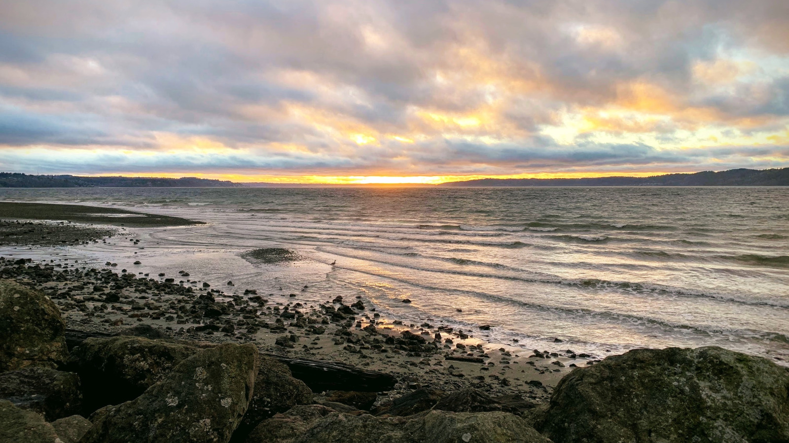 Between Seattle And Tacoma Is Washington's Lovely Coastal State Park With A Beach And Tide Pools