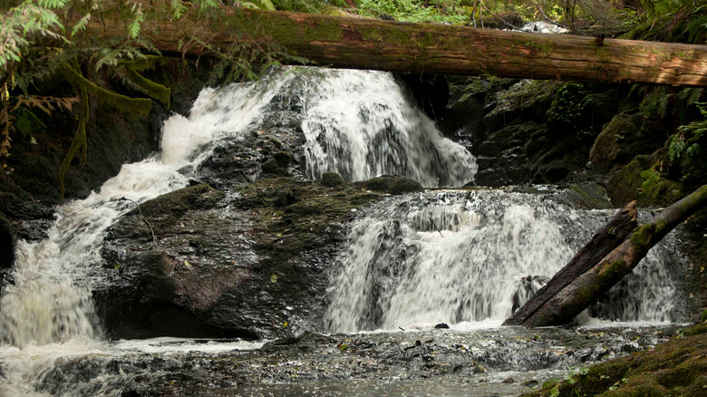 Ludlow Falls in Port Ludlow