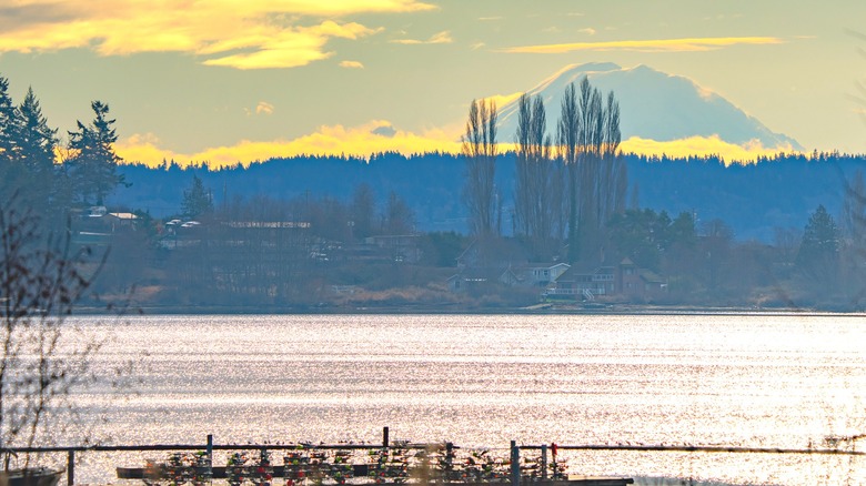 Waterfront view of Tulalip Bay, surrounded by forests and Mt. Rainier towering in the background