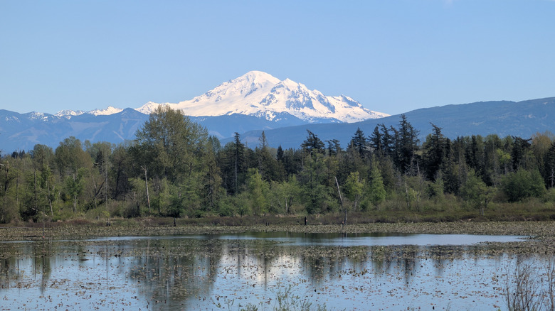 Mt. Baker from Lake Tennant Park in Ferndale, Washington